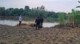 Tim dari Unit Jibom (Penjinak Bom) Subden Gegana Polda Jatim saat mengamankan 3 mortir aktif yang ditemukan di Desa Kepuhdoko, Kecamatan Tembelang, Kabupaten Jombang.