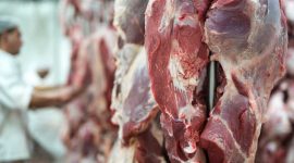 Ilustrasi daging kurban. (Freepik/aleksandarlittlewolf)