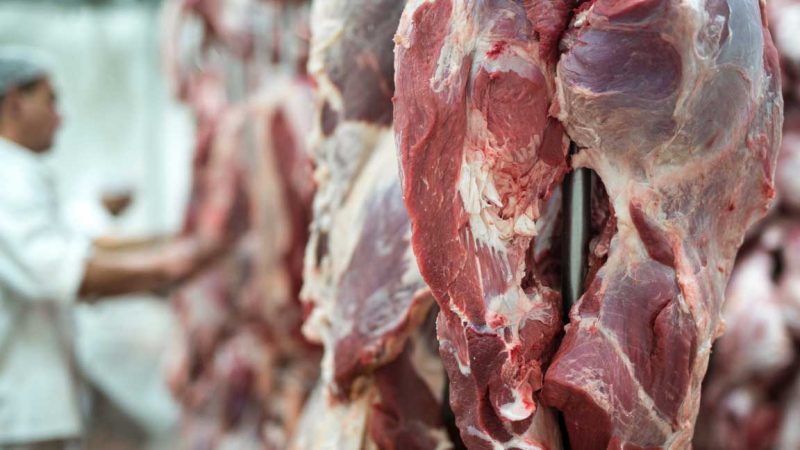 Ilustrasi daging kurban. (Freepik/aleksandarlittlewolf)