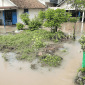Banjir di Dusun Sawahan, Desa Sambirejo, Kecamatan Jogoroto, Kabupaten Jombang. (Foto: Apriani Alva)