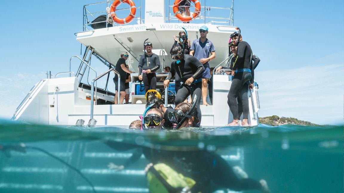 Diving di dermaga Busselton
