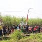 Kirab Gunungan dalam Sedekah Desa Balongbesuk, Diwek, Jombang. (Foto: Dok Jombangkab)