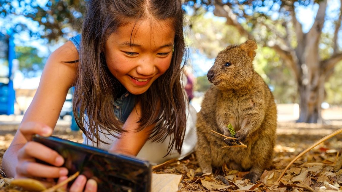 Selfie bersama hewan pengerat yang selalu bahagia quokka di Rottnest Island
