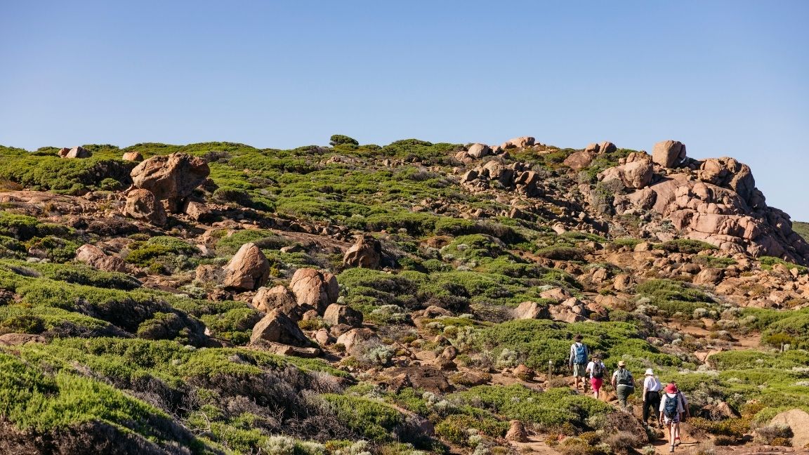 Trekking menyusuri jalur Cape to Cape Track