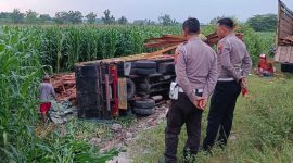 Kondisi truk muatan kayu yang terjun ke sawah di jalan raya ring road, Desa Miagan, Kecamatan Mojoagung, Kabupaten Jombang, sebelum dievakuasi petugas.