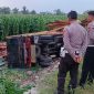 Kondisi truk muatan kayu yang terjun ke sawah di jalan raya ring road, Desa Miagan, Kecamatan Mojoagung, Kabupaten Jombang, sebelum dievakuasi petugas.