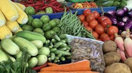 Ilustrasi sayuran worter, cabai dan lainnya.