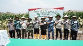 Panen Raya Jagung di Jombang 2025.