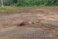 Temuan jasad pria tergeletak bersimbah darah, di area penampungan tebu, Desa Tebel, Kecamatan Bareng, Kabupaten Jombang. 