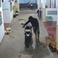 Tangkapan layar rekaman CCTV aksi pencurian motor di kos-kosan Desa Balongbesuk, Kecamatan Diwek, Kabupaten Jombang.  